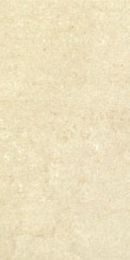 RAK Ceramics Gems Lemon 298x598mm