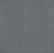 Grafen Anthracite 60x60 Porcelain Tile