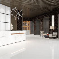 Space White Glazed Porcelain W&F 600x600mm