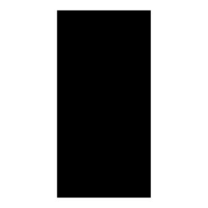 Gemini Super Polished Black Polished with Nano Finish Tile - 600x300mm
